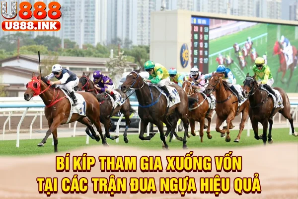Bí kíp tham gia xuống vốn tại các trận đua ngựa hiệu quả